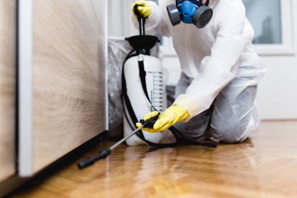 Best Pest Removal Services  in Thonotosassa, FL