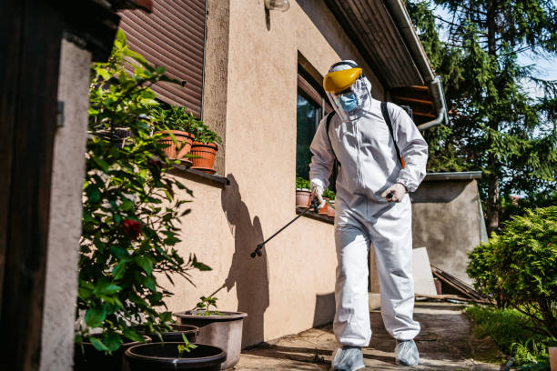 Best Pest Prevention Services  in Thonotosassa, FL