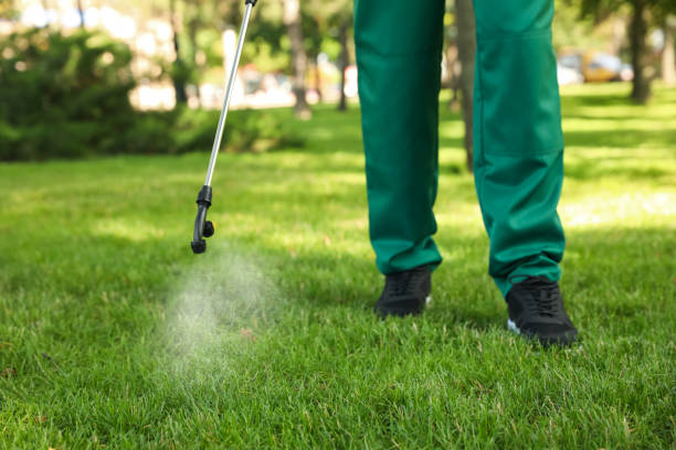 Best Emergency Pest Control  in Thonotosassa, FL