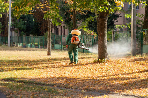 Best Best Pest Control Companies  in Thonotosassa, FL