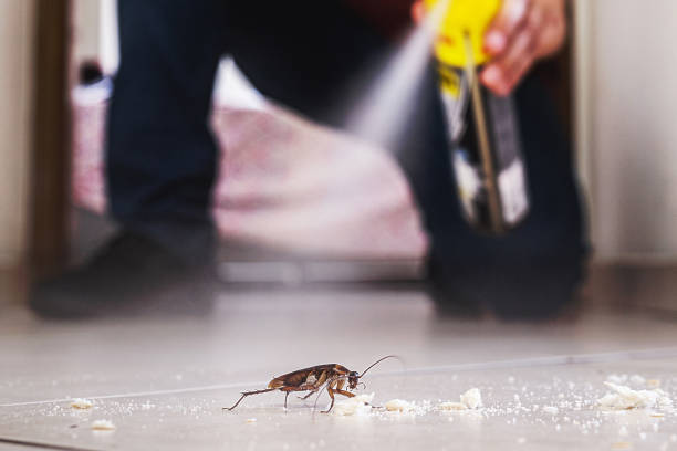 Thonotosassa, FL Pest Control Company