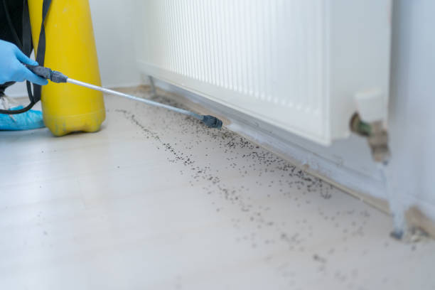 Best Exterminator Services  in Thonotosassa, FL