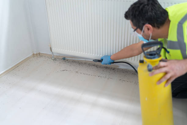 Best Best Pest Control Companies  in Thonotosassa, FL