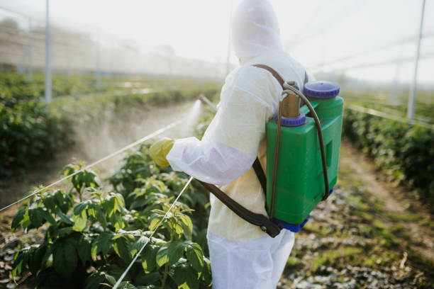 Best Pest Inspection Near Me  in Thonotosassa, FL